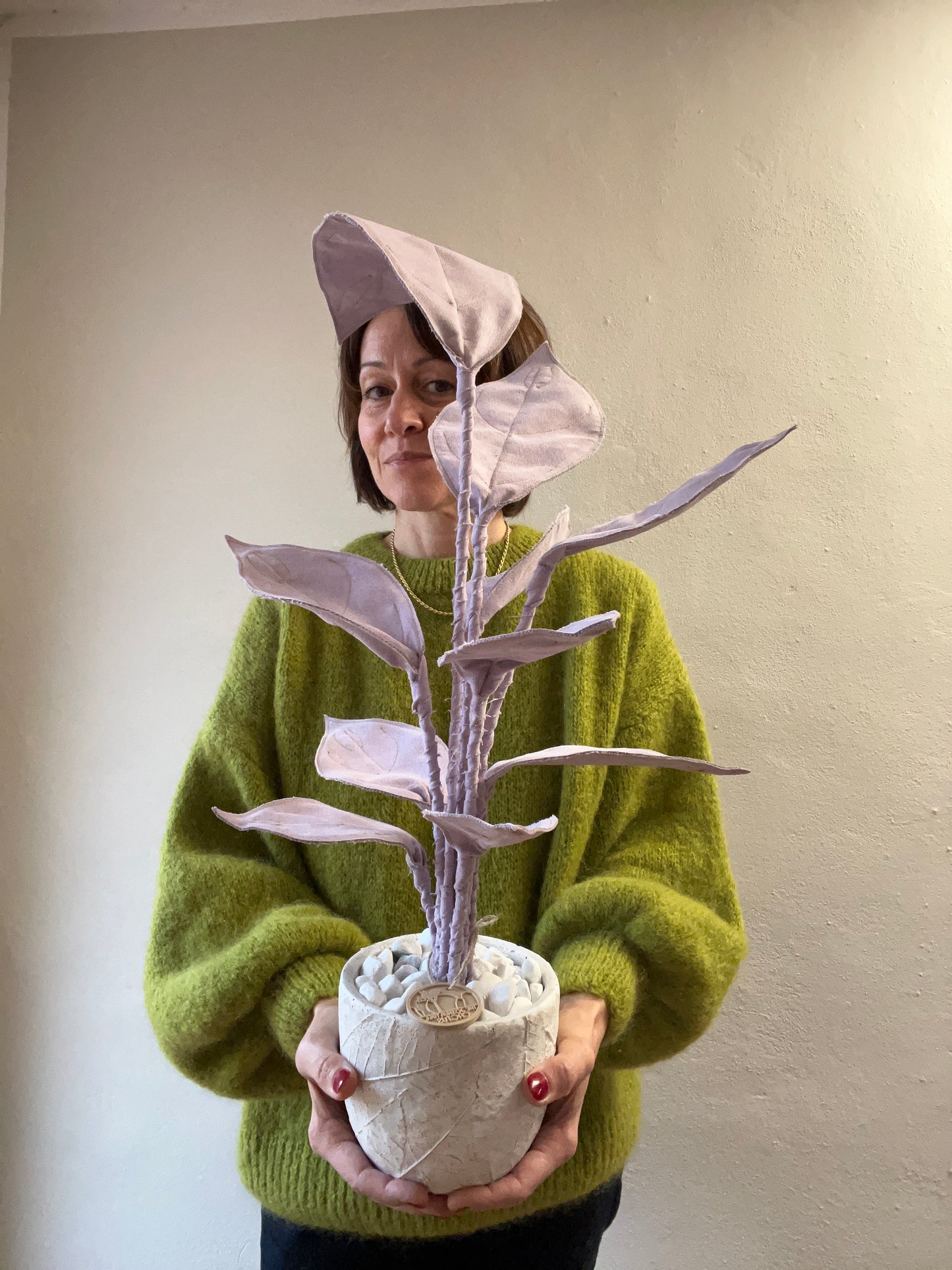 Cereus over composition