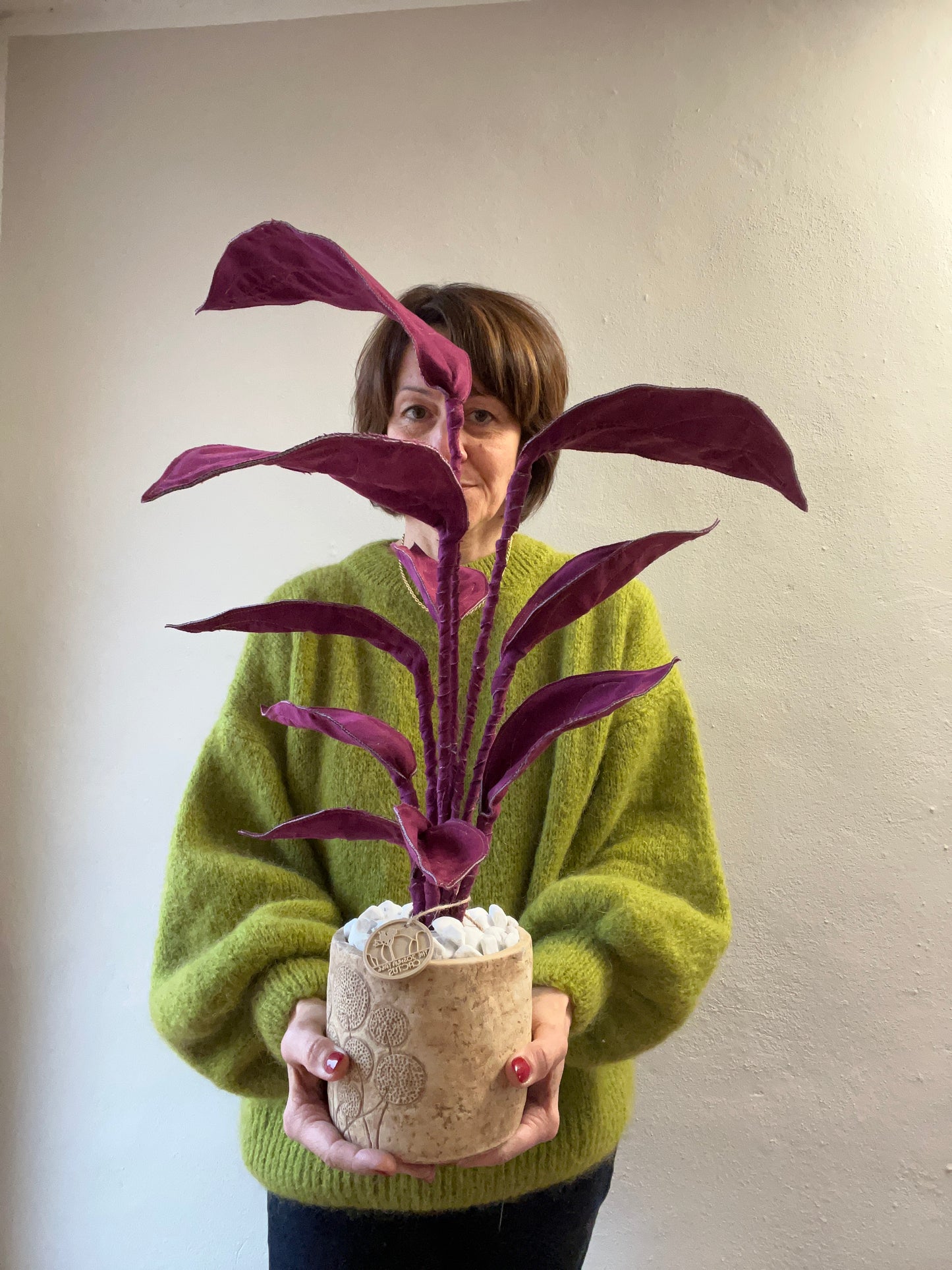 Cereus over composition