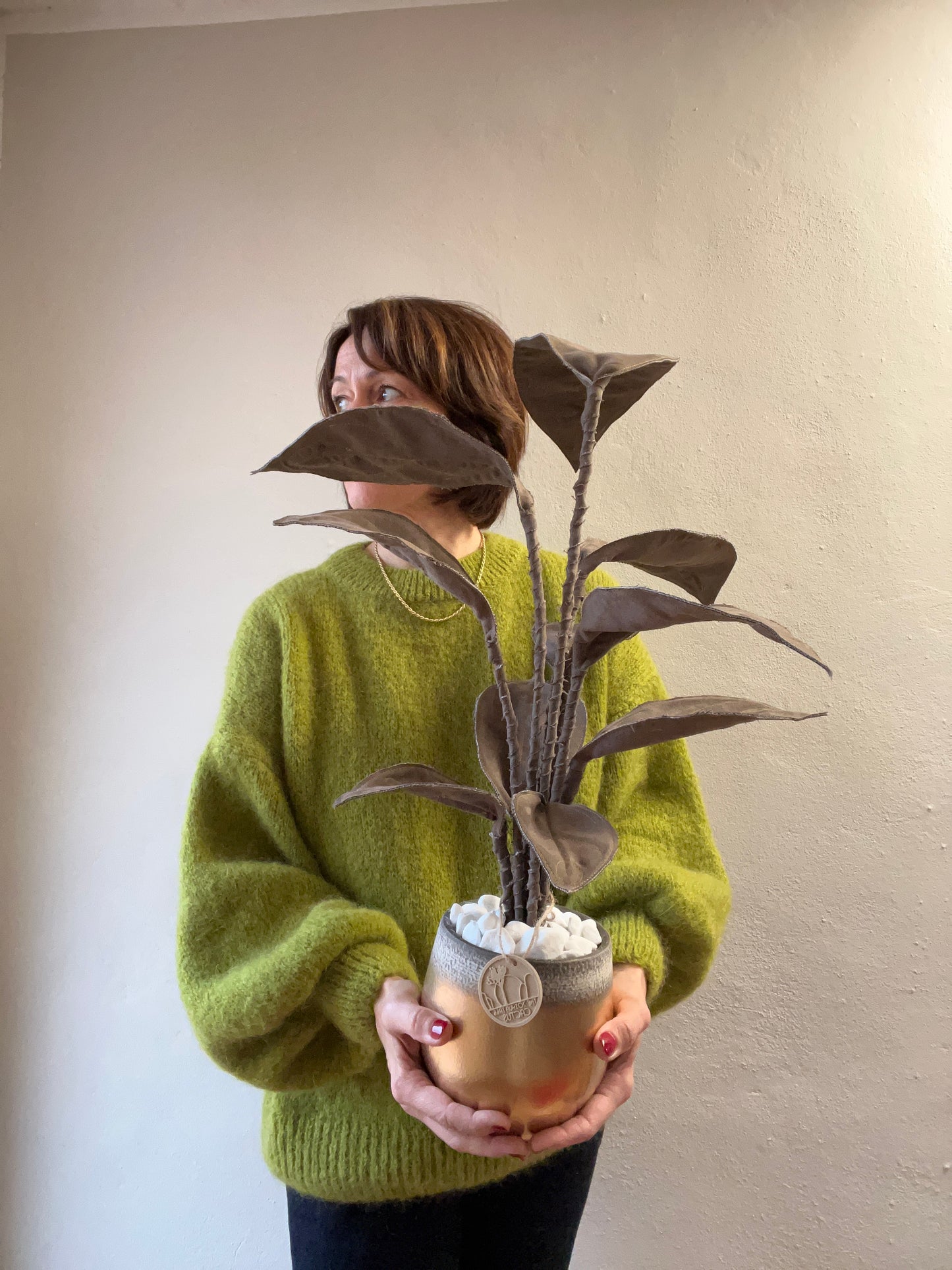 Cereus over composition