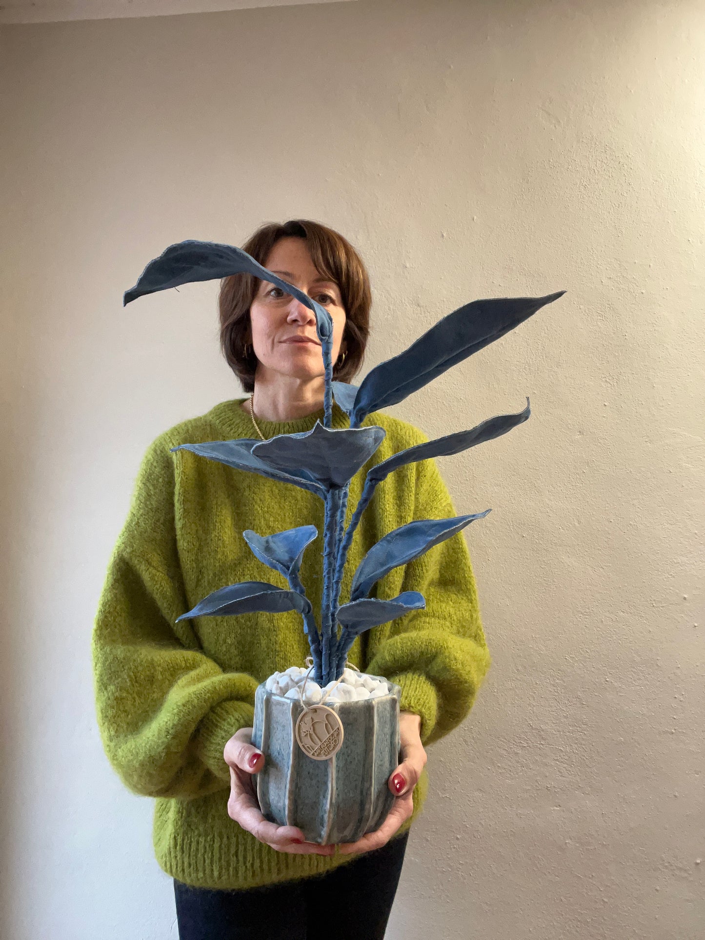 Cereus over composition