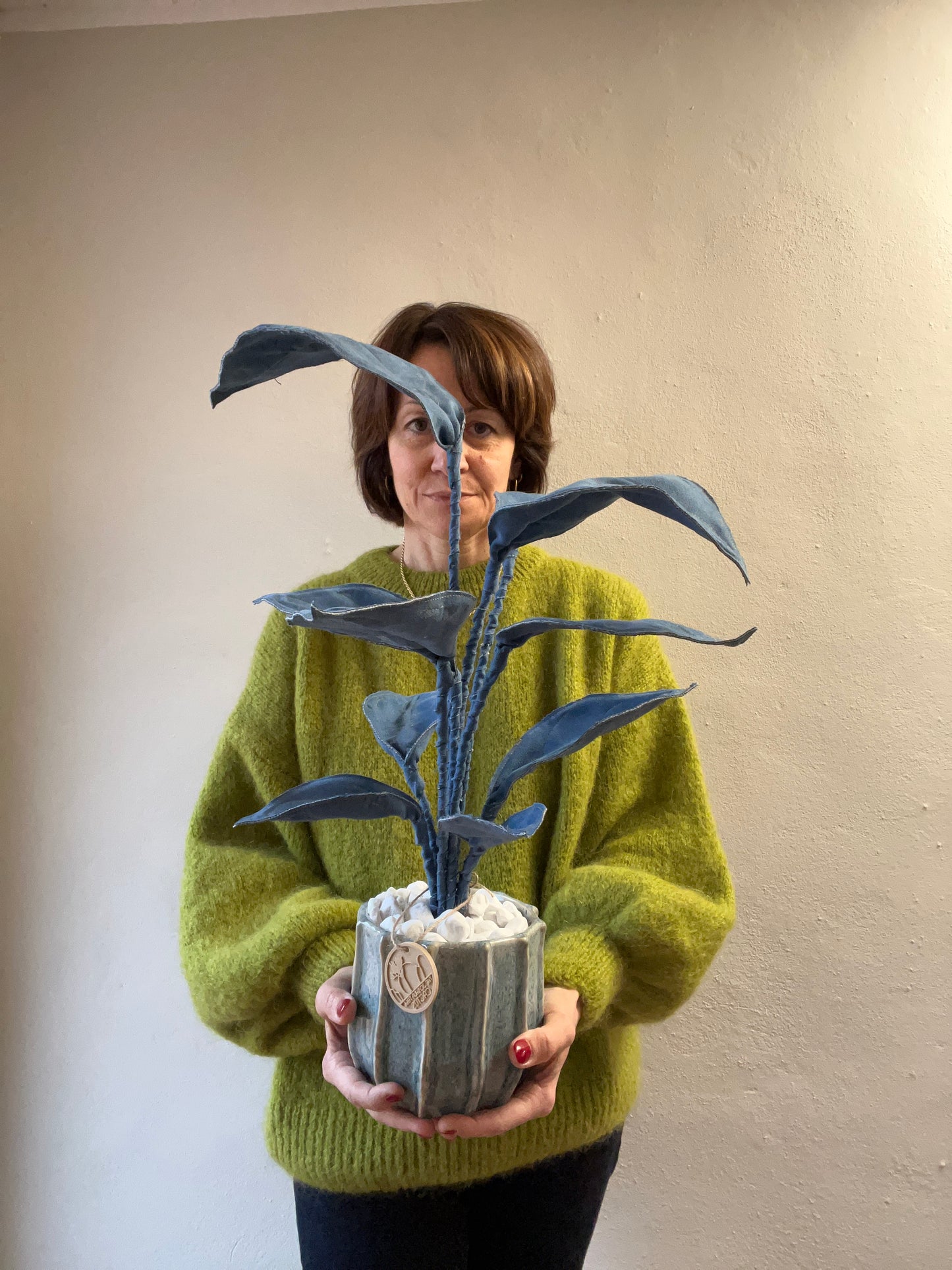 Cereus over composition