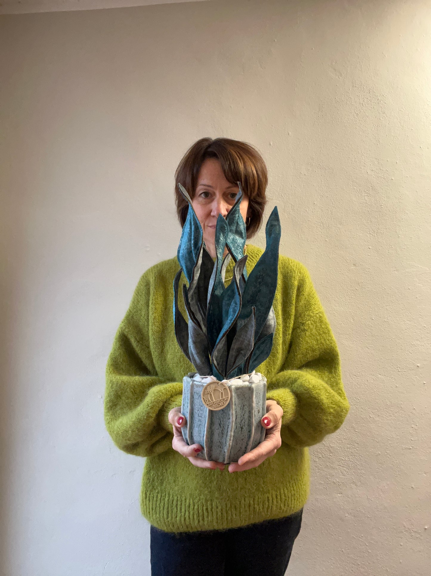 Sanseveria blu riflessi argento