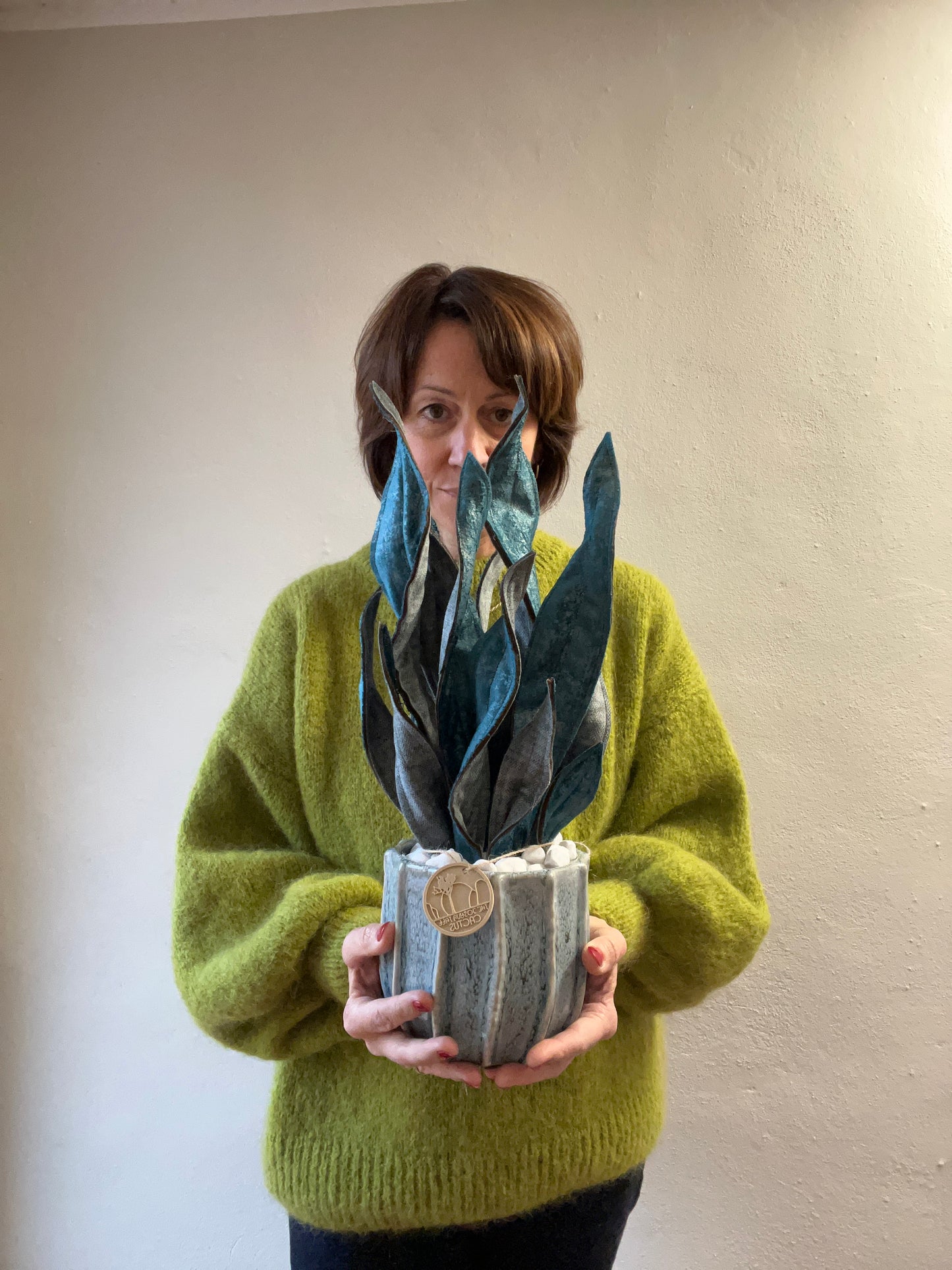 Sanseveria blu riflessi argento