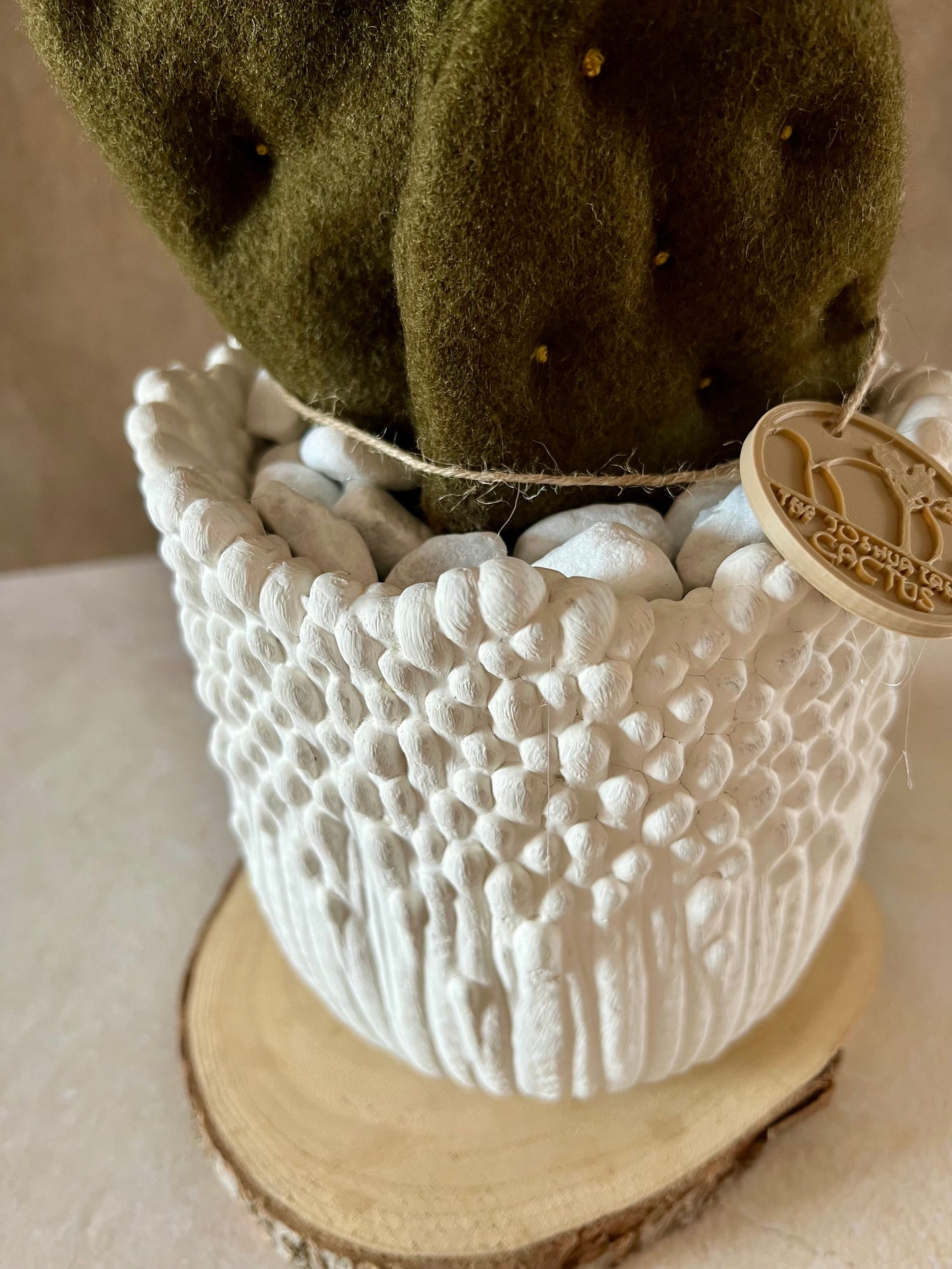 Opuntia in wool fabric complete with white ceramic vase and decorative stones.