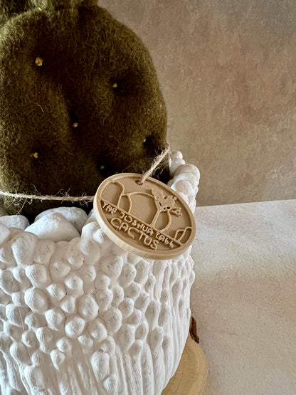 Opuntia in wool fabric complete with white ceramic vase and decorative stones.