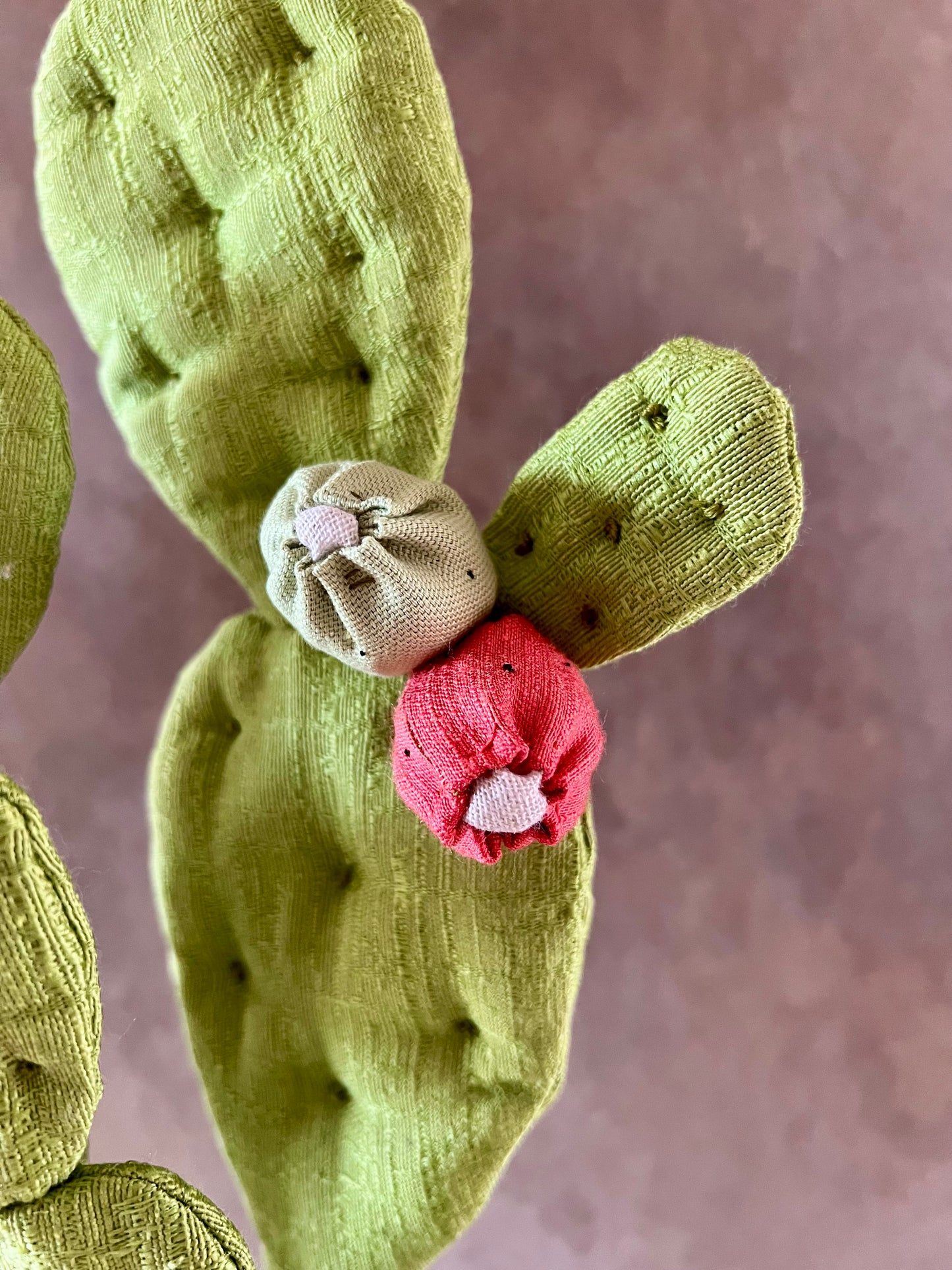 Opuntia in wool fabric complete with white ceramic vase and decorative stones.
