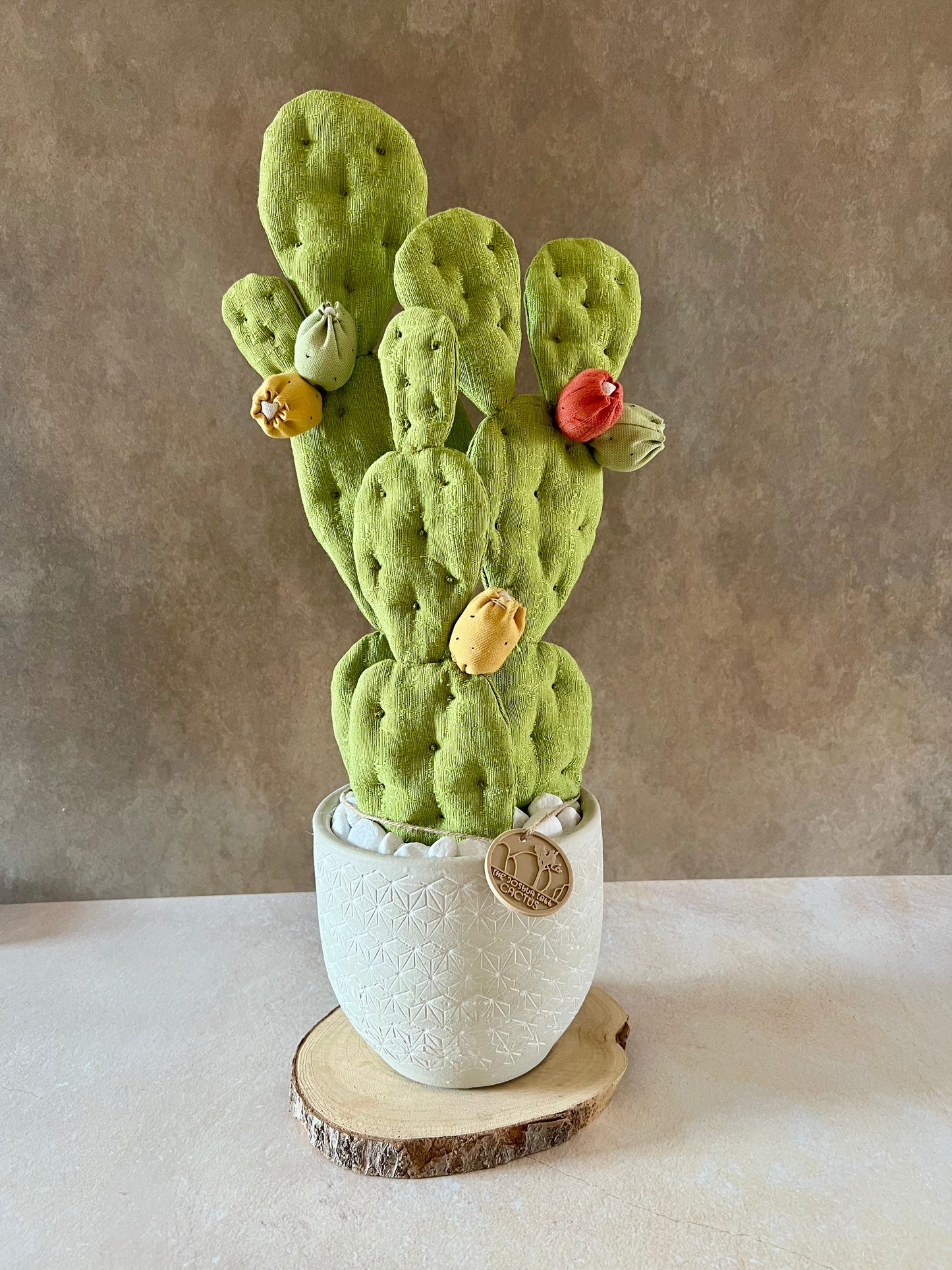 Opuntia in wool fabric complete with white ceramic vase and decorative stones.