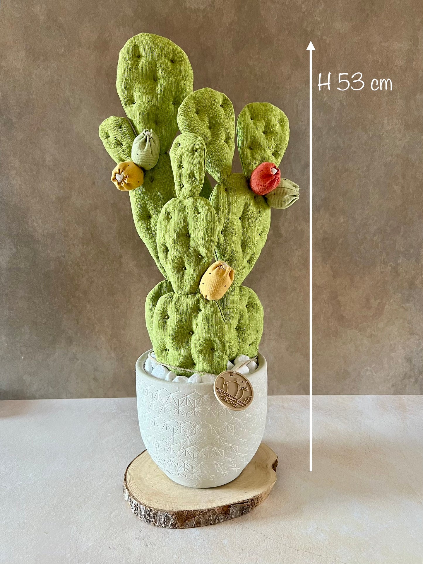 Opuntia in wool fabric complete with white ceramic vase and decorative stones.