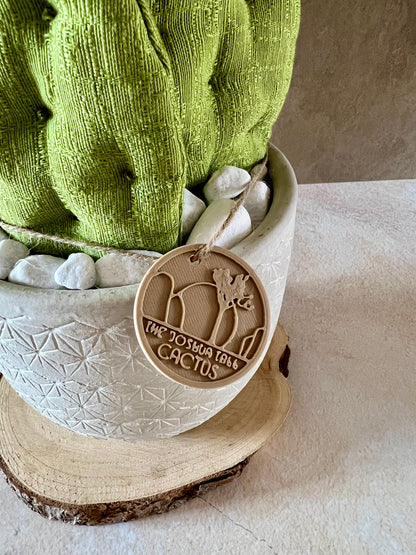 Opuntia in wool fabric complete with white ceramic vase and decorative stones.