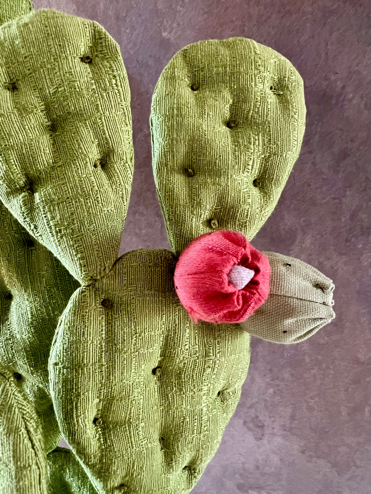 Opuntia in wool fabric complete with white ceramic vase and decorative stones.