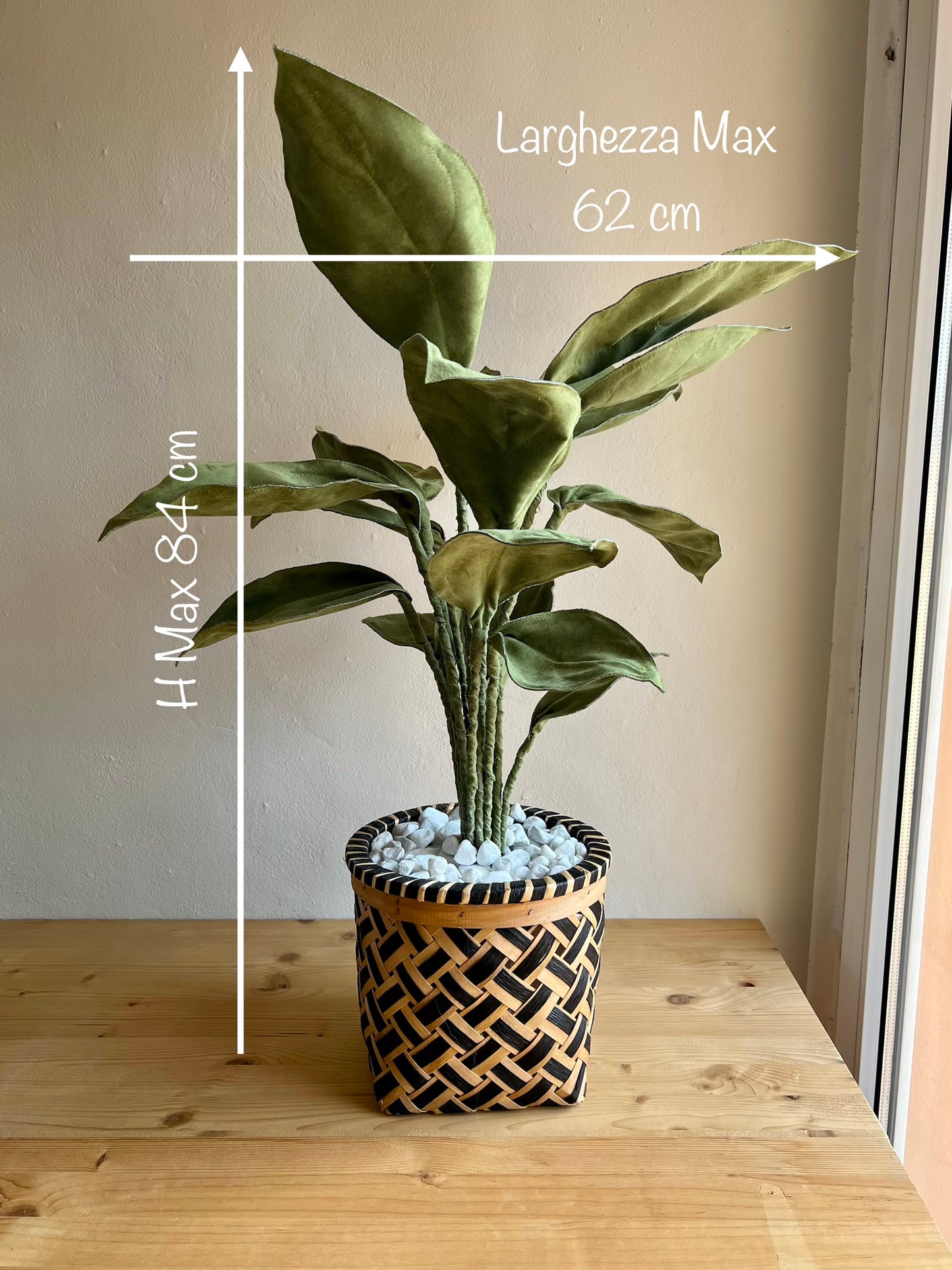 Cereus over composition