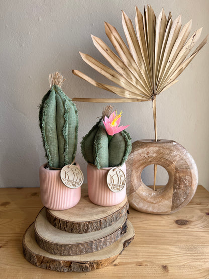 Coppia di mini Cactus in cotone verde, vaso in ceramica rosa, h circa 17 e  22  cm - fiore staccabile