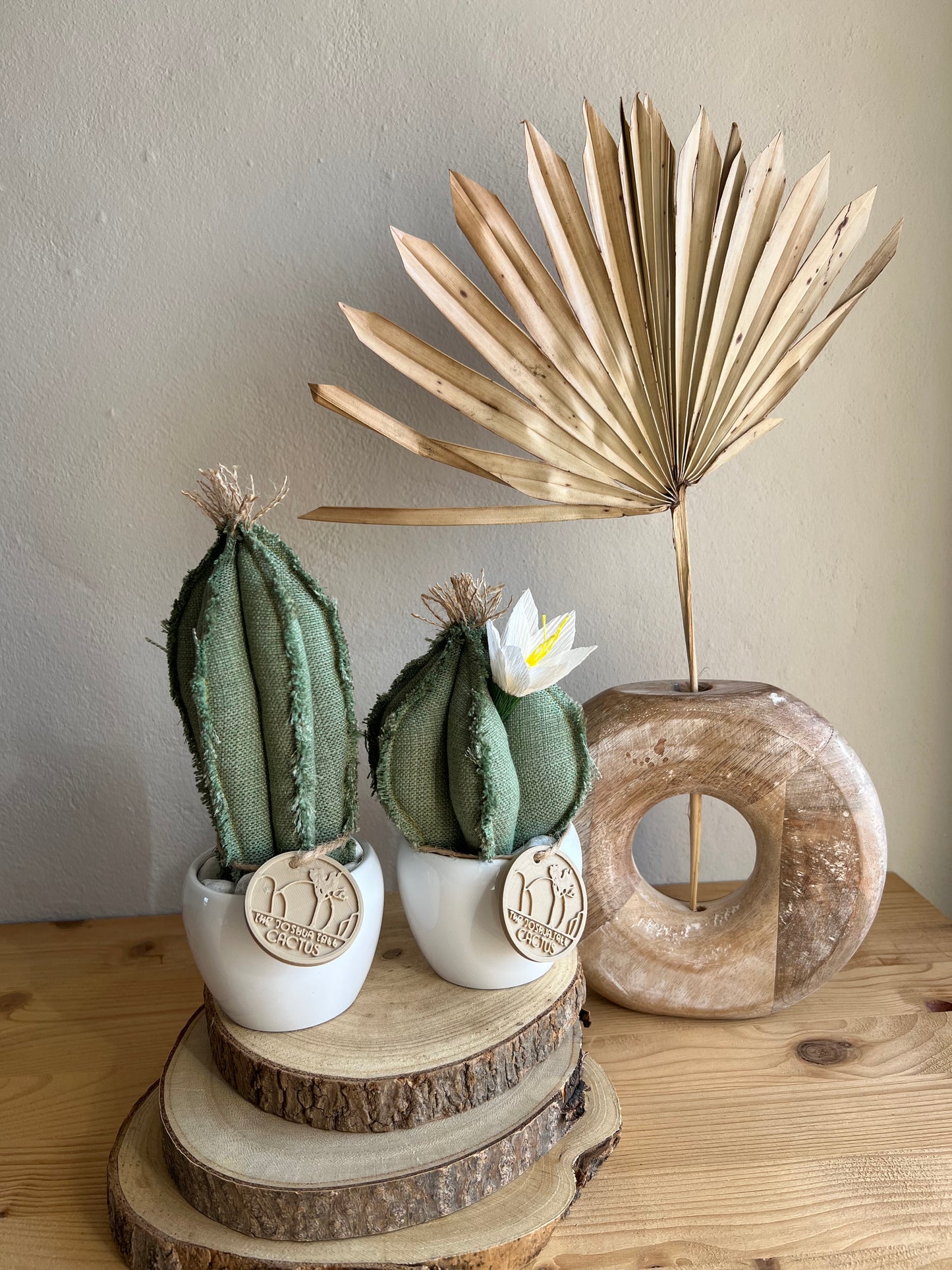 Coppia di mini Cactus in cotone verde, vaso in ceramica bianco lucido, h circa 17 e 22 cm - fiore staccabile