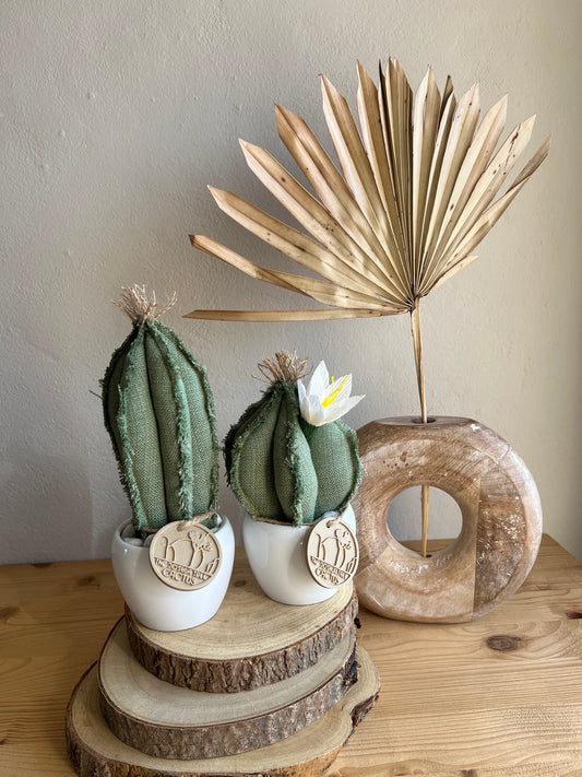 Coppia di mini Cactus in cotone verde, vaso in ceramica bianco lucido, h circa 17 e 22 cm - fiore staccabile