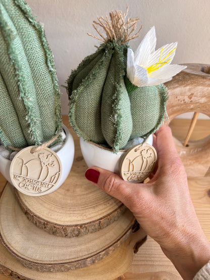 Coppia di mini Cactus in cotone verde, vaso in ceramica bianco lucido, h circa 17 e 22 cm - fiore staccabile