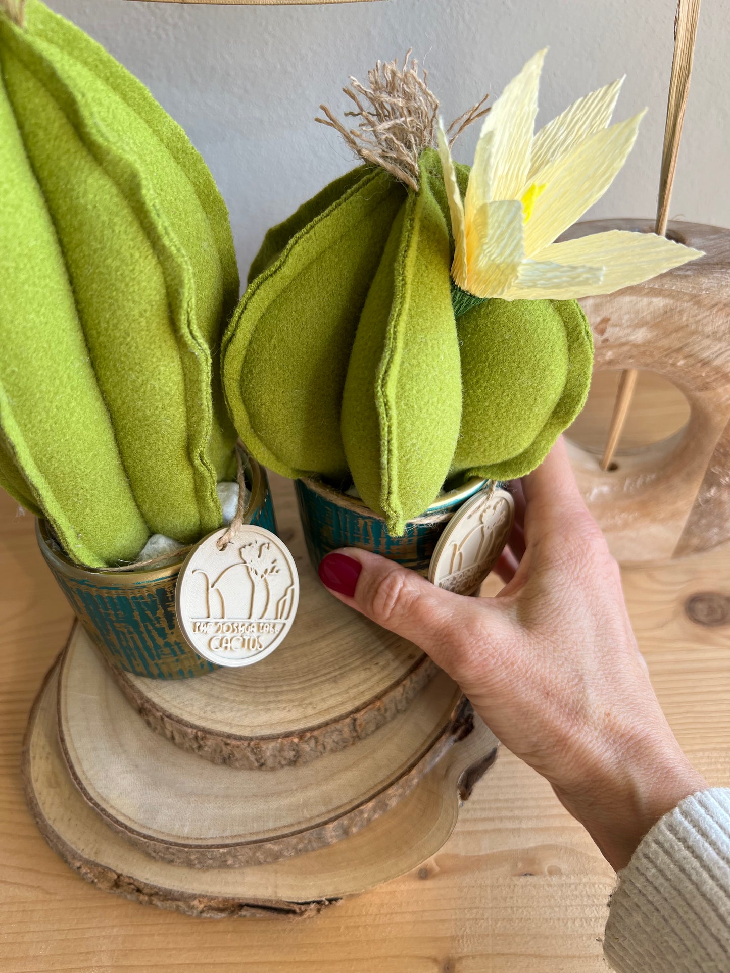 Coppia di mini Cactus in panno verde, vaso in ceramica oro con striature verde scuro , h circa 17 e 23  cm - fiore staccabile