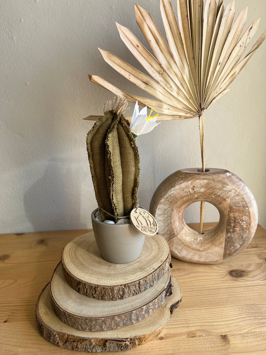 Mini Cactus in cotone verde, vaso in ceramica grigio lucido, h circa 22  cm - fiore staccabile