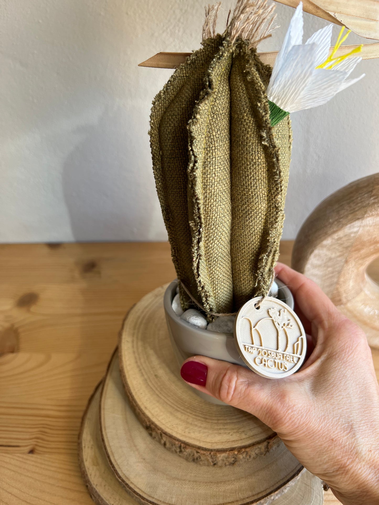 Mini Cactus in cotone verde, vaso in ceramica grigio lucido, h circa 22  cm - fiore staccabile