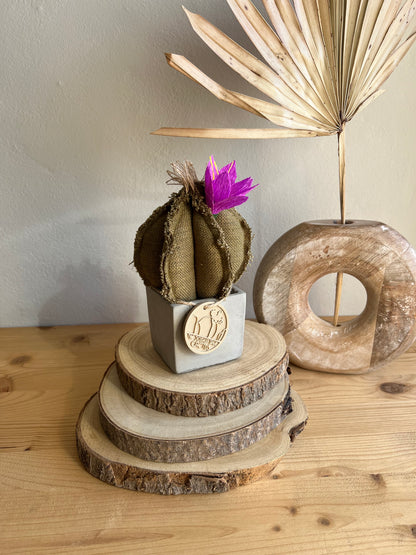 Mini Cactus in cotone verde, vaso in cemento grigio forma a cubo h circa 17  cm - fiore staccabile