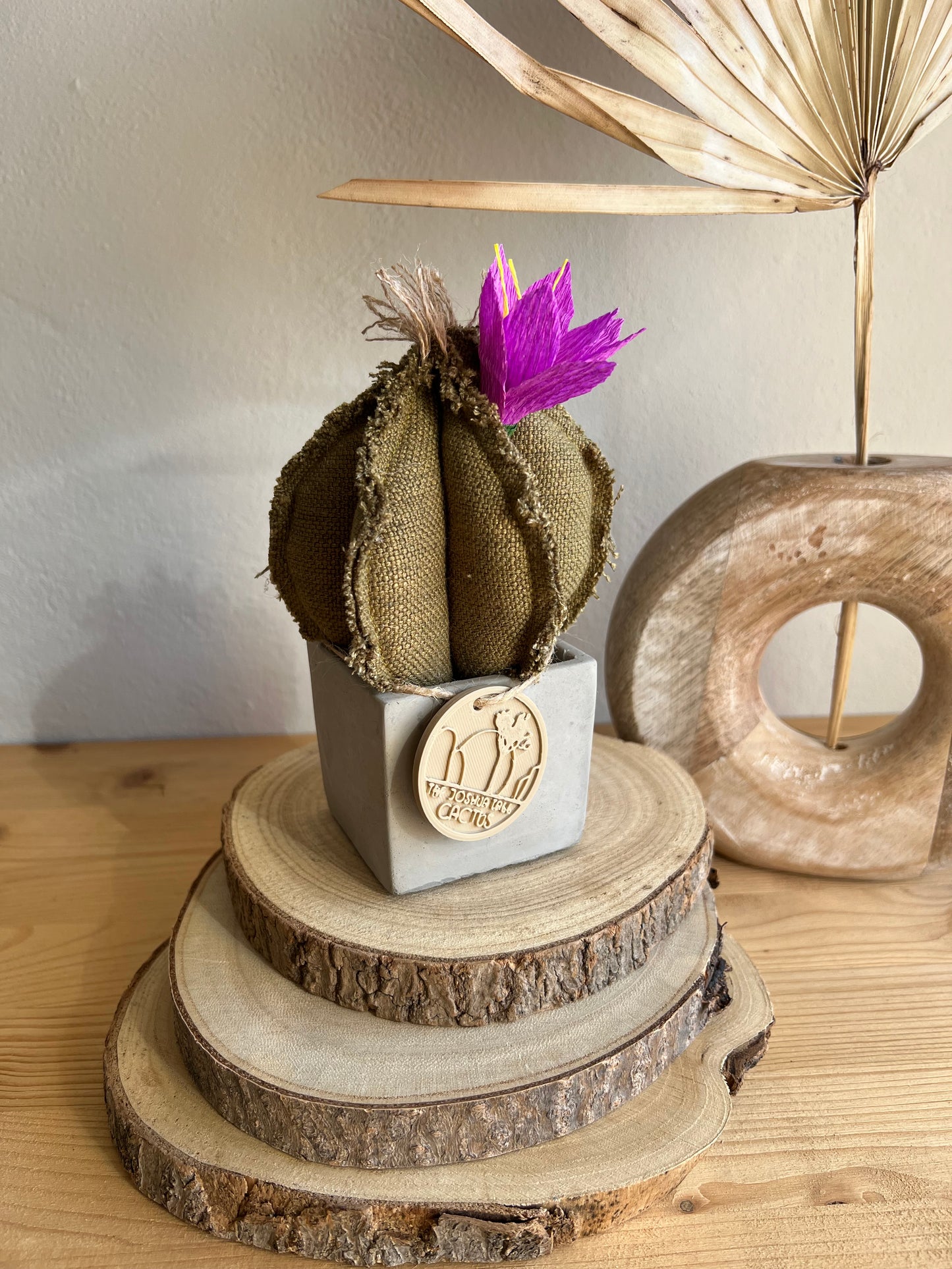 Mini Cactus in cotone verde, vaso in cemento grigio forma a cubo h circa 17  cm - fiore staccabile