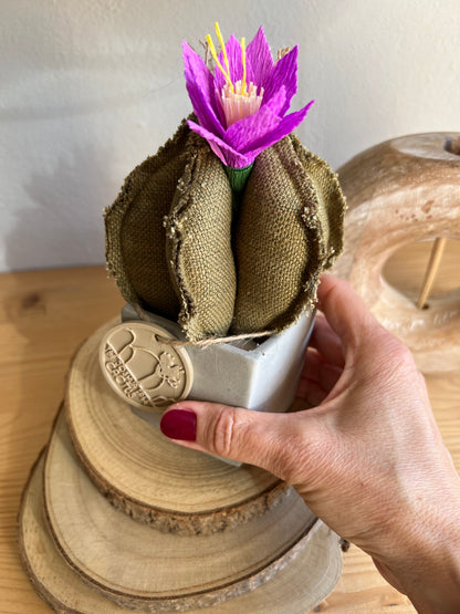 Mini Cactus in cotone verde, vaso in cemento grigio forma a cubo h circa 17  cm - fiore staccabile