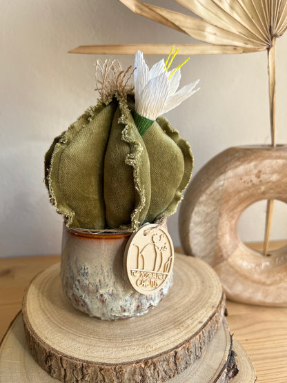 Mini Cactus in velluto verde menta, vaso in ceramica grigio chiaro motivo astratto altezza circa 17 cm  -  fiore staccabile