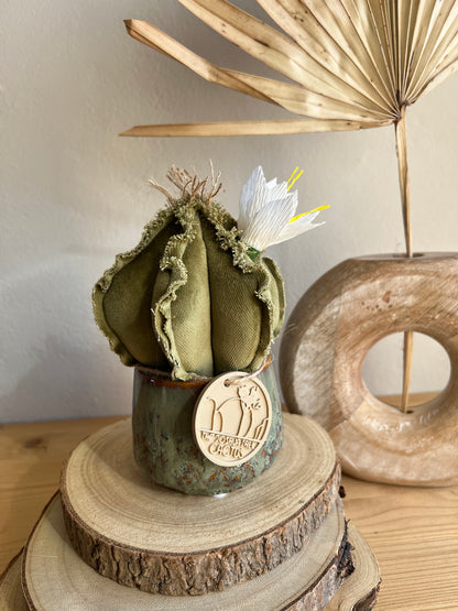 Mini Cactus in velluto verde menta, vaso in ceramica verde scuro motivo astratto altezza circa 17 cm  -  fiore staccabile