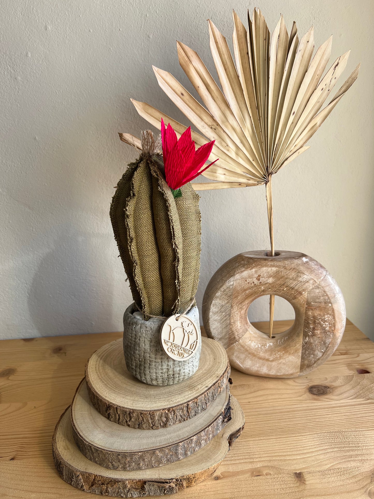 Mini Cactus in cotone verde, vaso in ceramica simil cemento altezza circa 23  cm - fiore staccabile