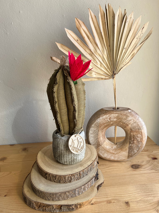 Mini Cactus in cotone verde, vaso in ceramica simil cemento altezza circa 23  cm - fiore staccabile