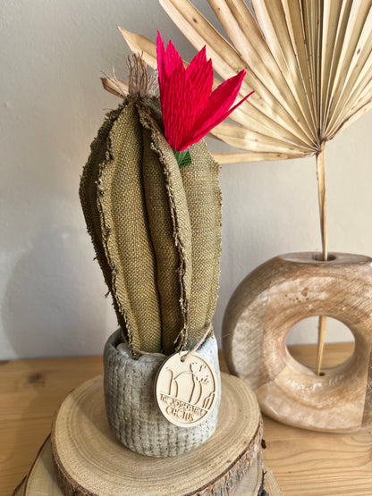 Mini Cactus in cotone verde, vaso in ceramica simil cemento altezza circa 23  cm - fiore staccabile