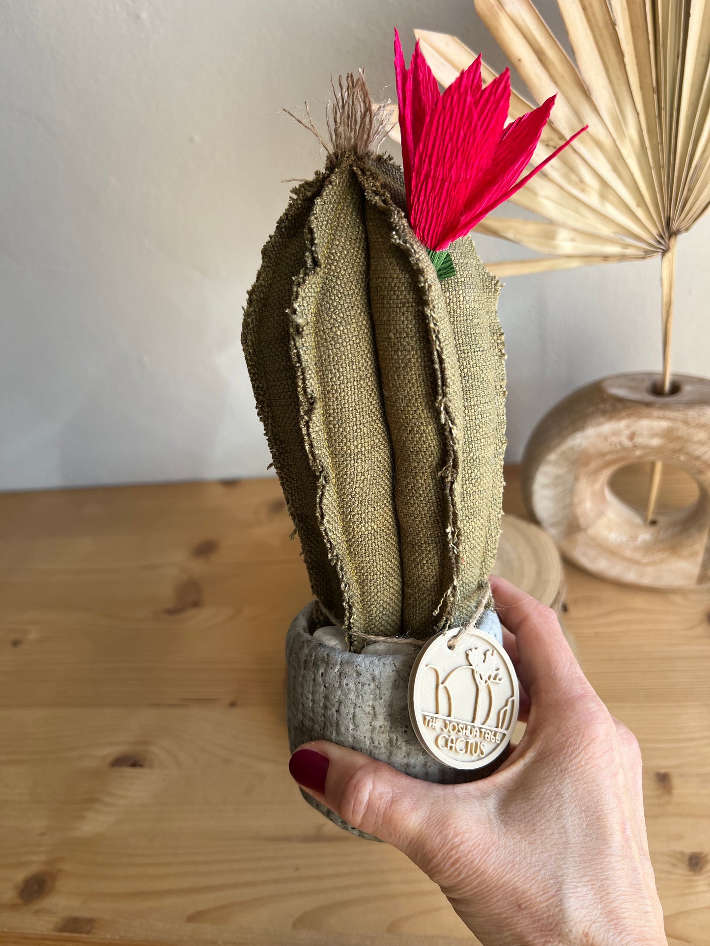 Mini Cactus in cotone verde, vaso in ceramica simil cemento altezza circa 23  cm - fiore staccabile