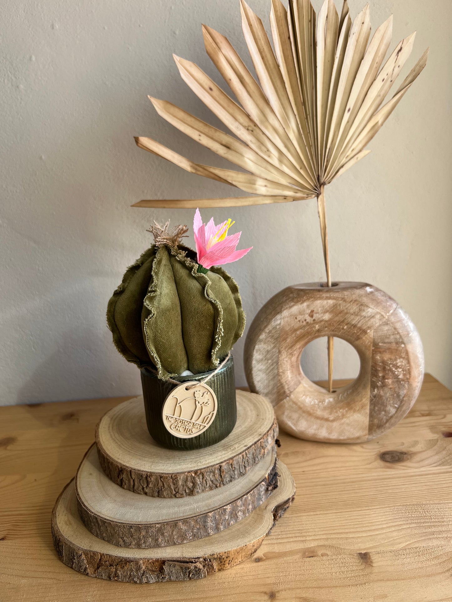 Mini Cactus in velluto verde menta, vaso in ceramica verde altezza circa 17 cm  -  fiore staccabile