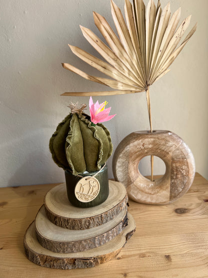 Mini Cactus in velluto verde menta, vaso in ceramica verde altezza circa 17 cm  -  fiore staccabile