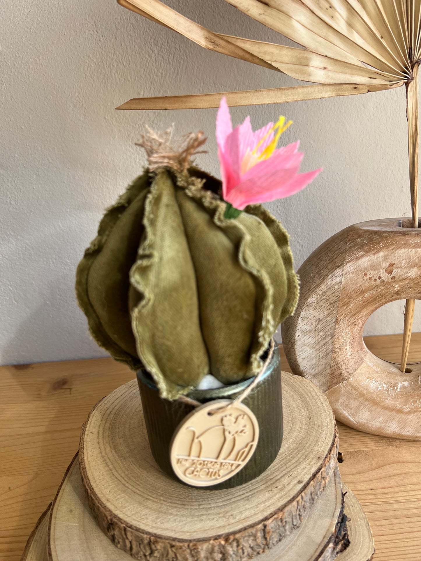 Mini Cactus in velluto verde menta, vaso in ceramica verde altezza circa 17 cm  -  fiore staccabile