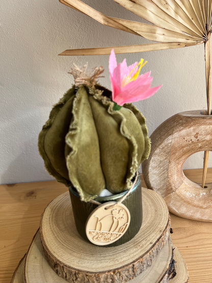 Mini Cactus in velluto verde menta, vaso in ceramica verde altezza circa 17 cm  -  fiore staccabile