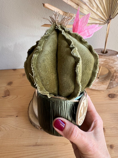Mini Cactus in velluto verde menta, vaso in ceramica verde altezza circa 17 cm  -  fiore staccabile