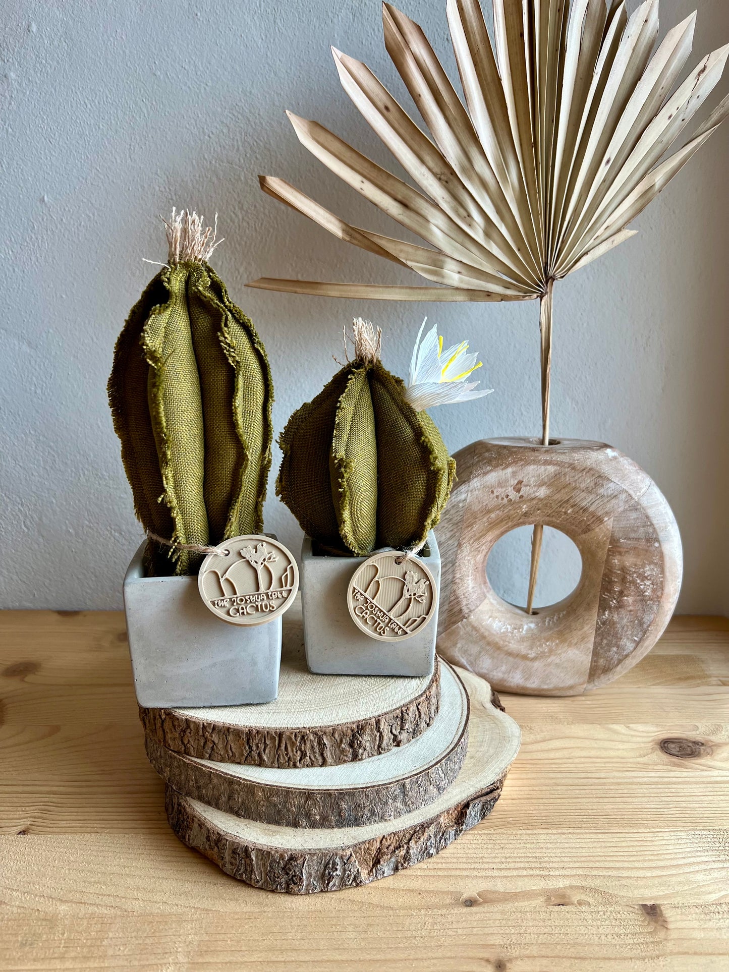 Coppia di mini Cactus in cotone verdeoro, vaso in cemento a cubo, h circa 17 e  22  cm - fiore staccabile