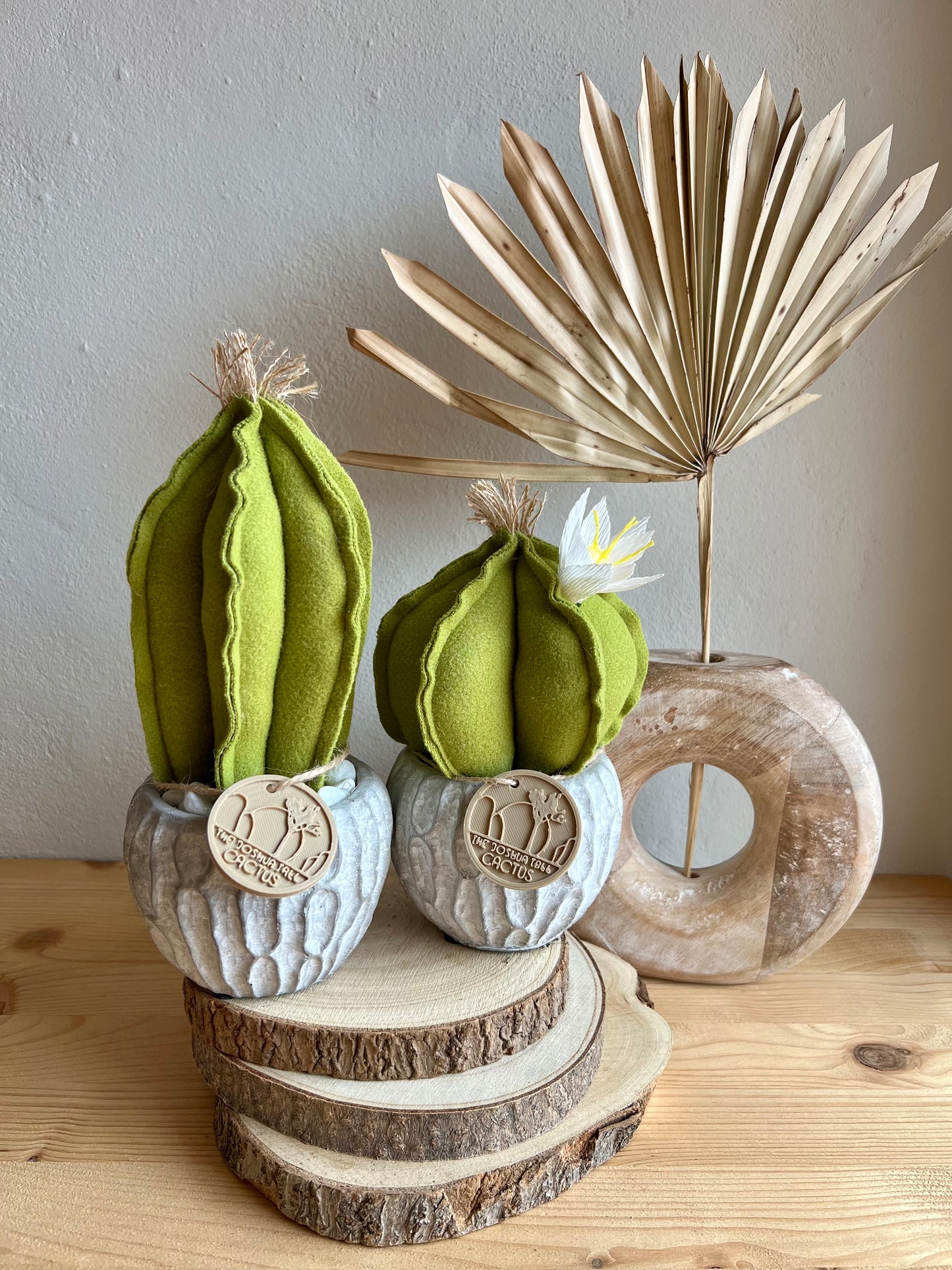 Coppia di mini Cactus in panno verde, vaso in cemento con motivi, h circa 17 e 23  cm - fiore staccabile