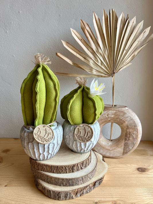 Coppia di mini Cactus in panno verde, vaso in cemento con motivi, h circa 17 e 23  cm - fiore staccabile