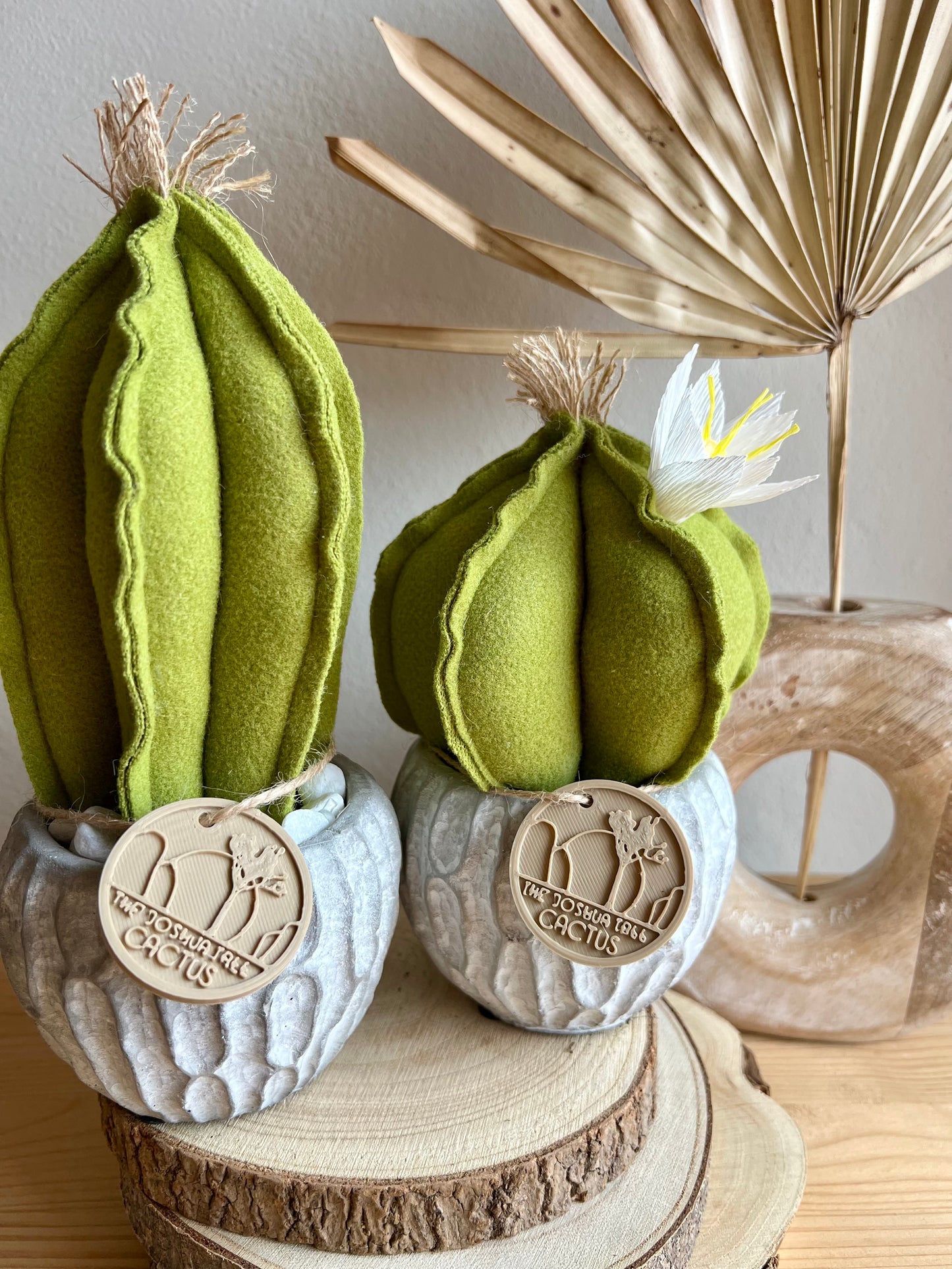 Coppia di mini Cactus in panno verde, vaso in cemento con motivi, h circa 17 e 23  cm - fiore staccabile