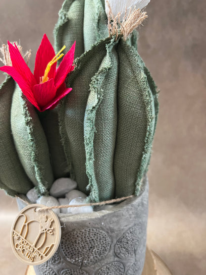 Composizione 3 cactus in cotone verde chiaro, vaso in ceramica opaca grigia con motivo "soffioni"  h circa 32cm - fiori staccabili.