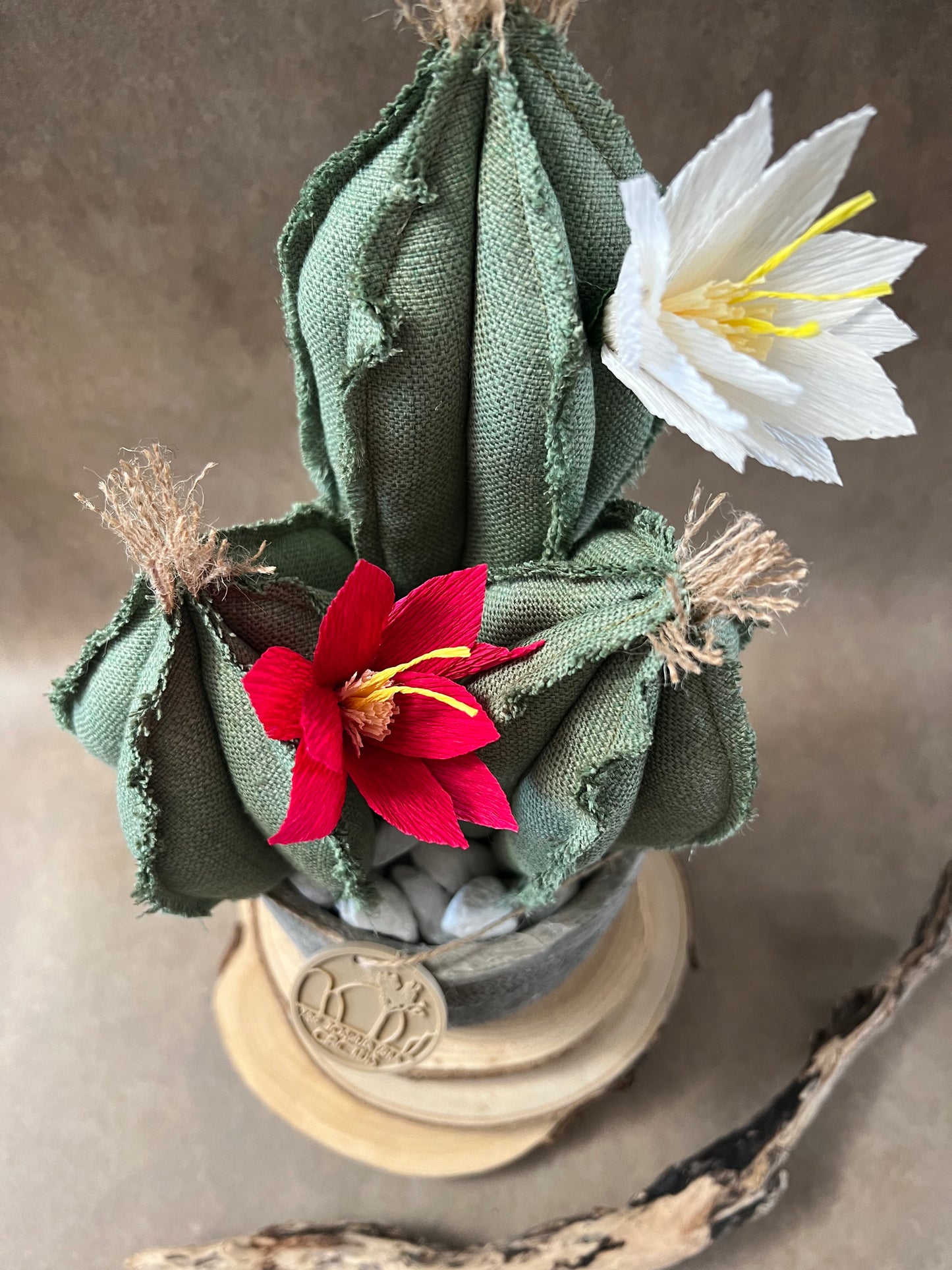 Composizione 3 cactus in cotone verde chiaro, vaso in ceramica opaca grigia con motivo "soffioni"  h circa 32cm - fiori staccabili.