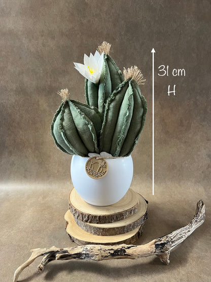 Composizione 3 cactus in cotone verde chiaro, vaso in ceramica bianca opaca  h circa 31cm - fiore staccabile.