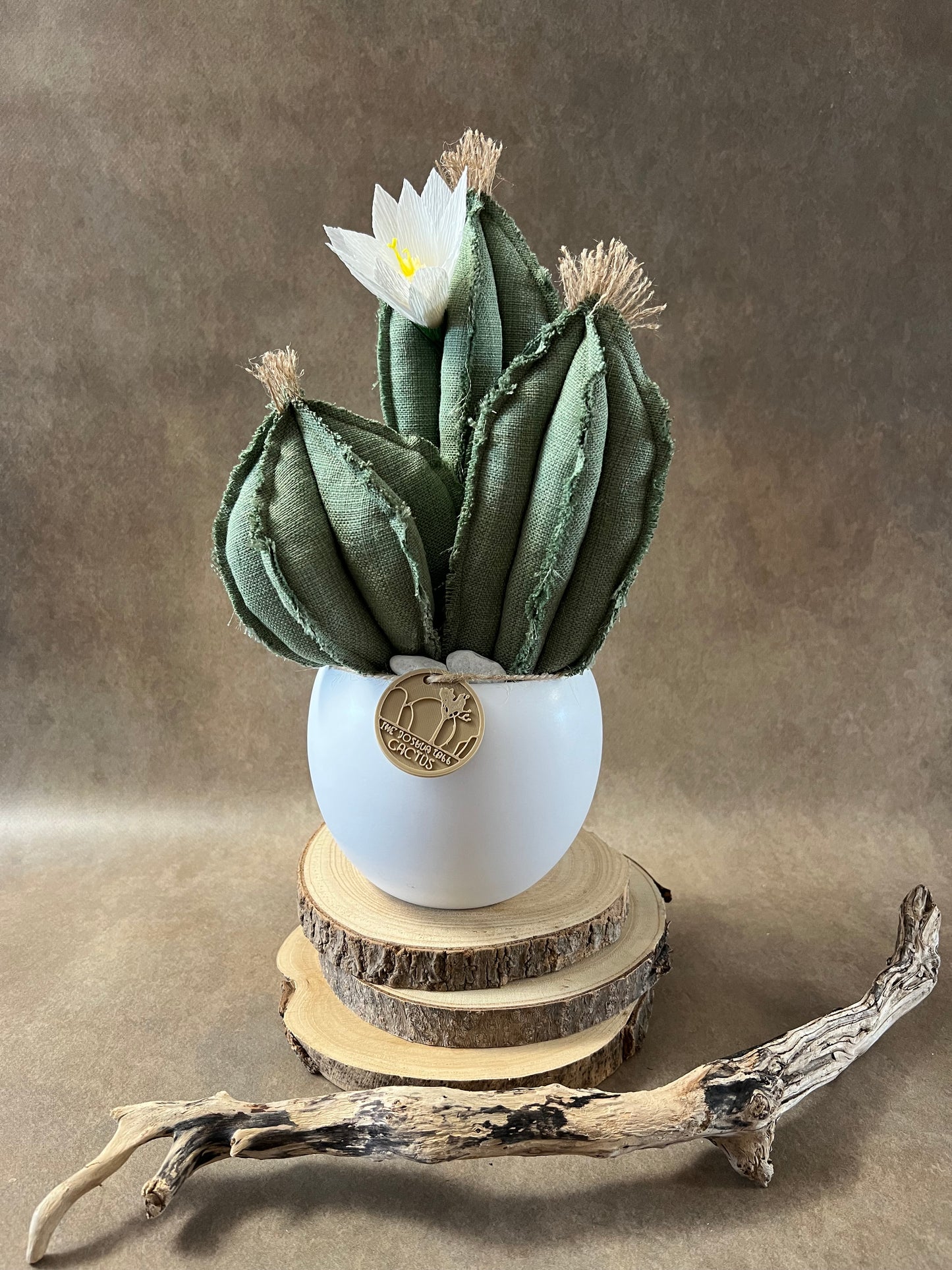 Composizione 3 cactus in cotone verde chiaro, vaso in ceramica bianca opaca  h circa 31cm - fiore staccabile.