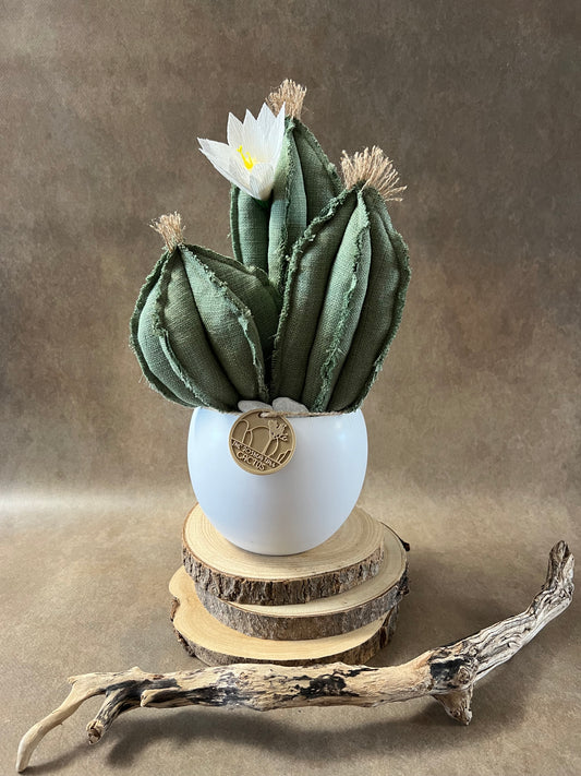 Composizione 3 cactus in cotone verde chiaro, vaso in ceramica bianca opaca  h circa 31cm - fiore staccabile.