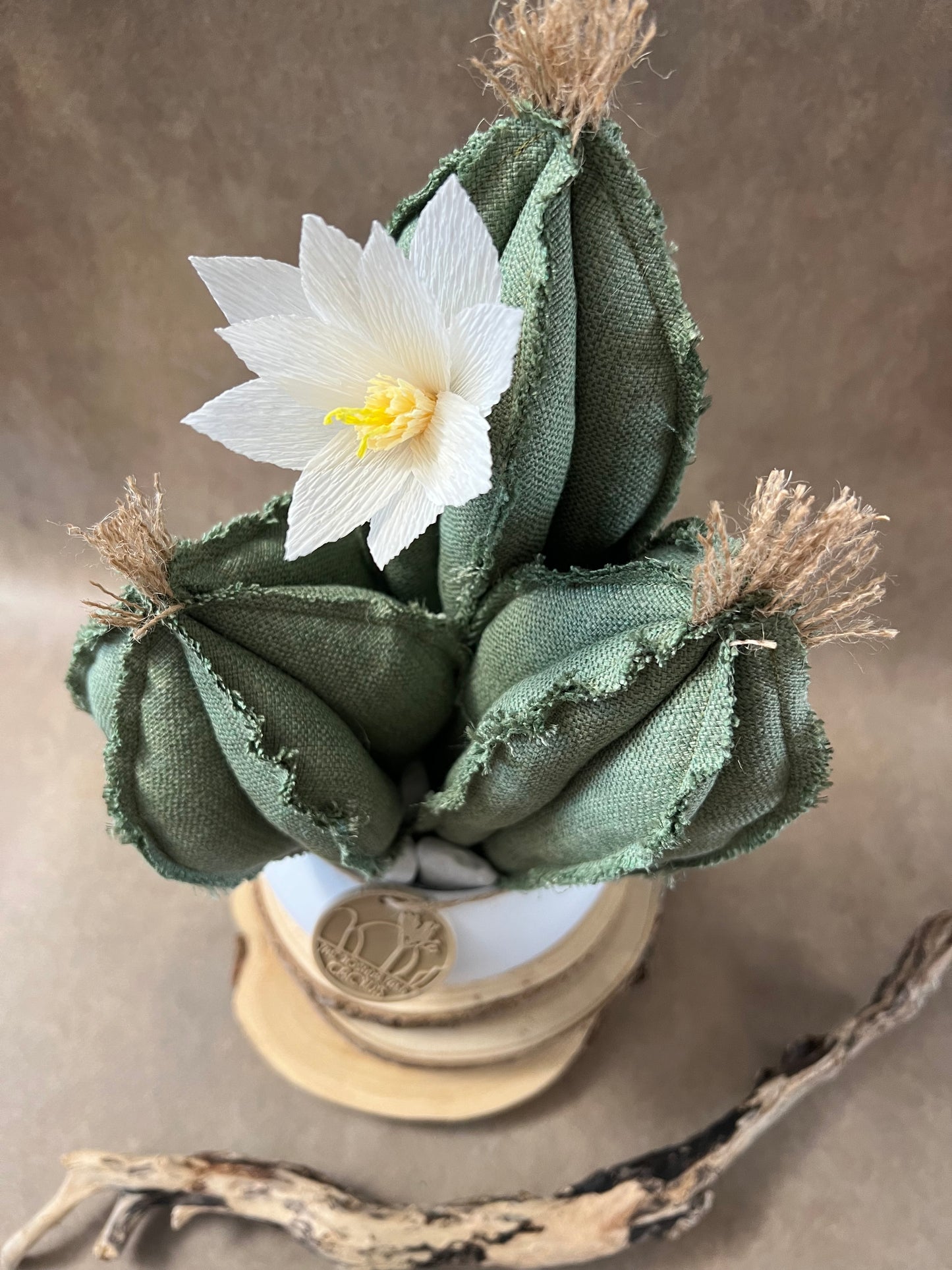 Composizione 3 cactus in cotone verde chiaro, vaso in ceramica bianca opaca  h circa 31cm - fiore staccabile.