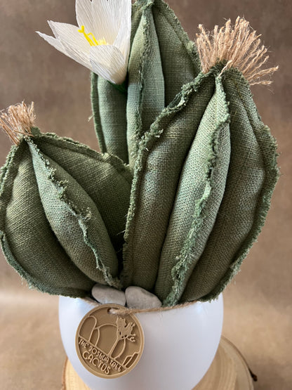 Composizione 3 cactus in cotone verde chiaro, vaso in ceramica bianca opaca  h circa 31cm - fiore staccabile.