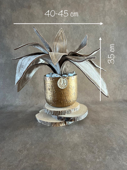 Agave