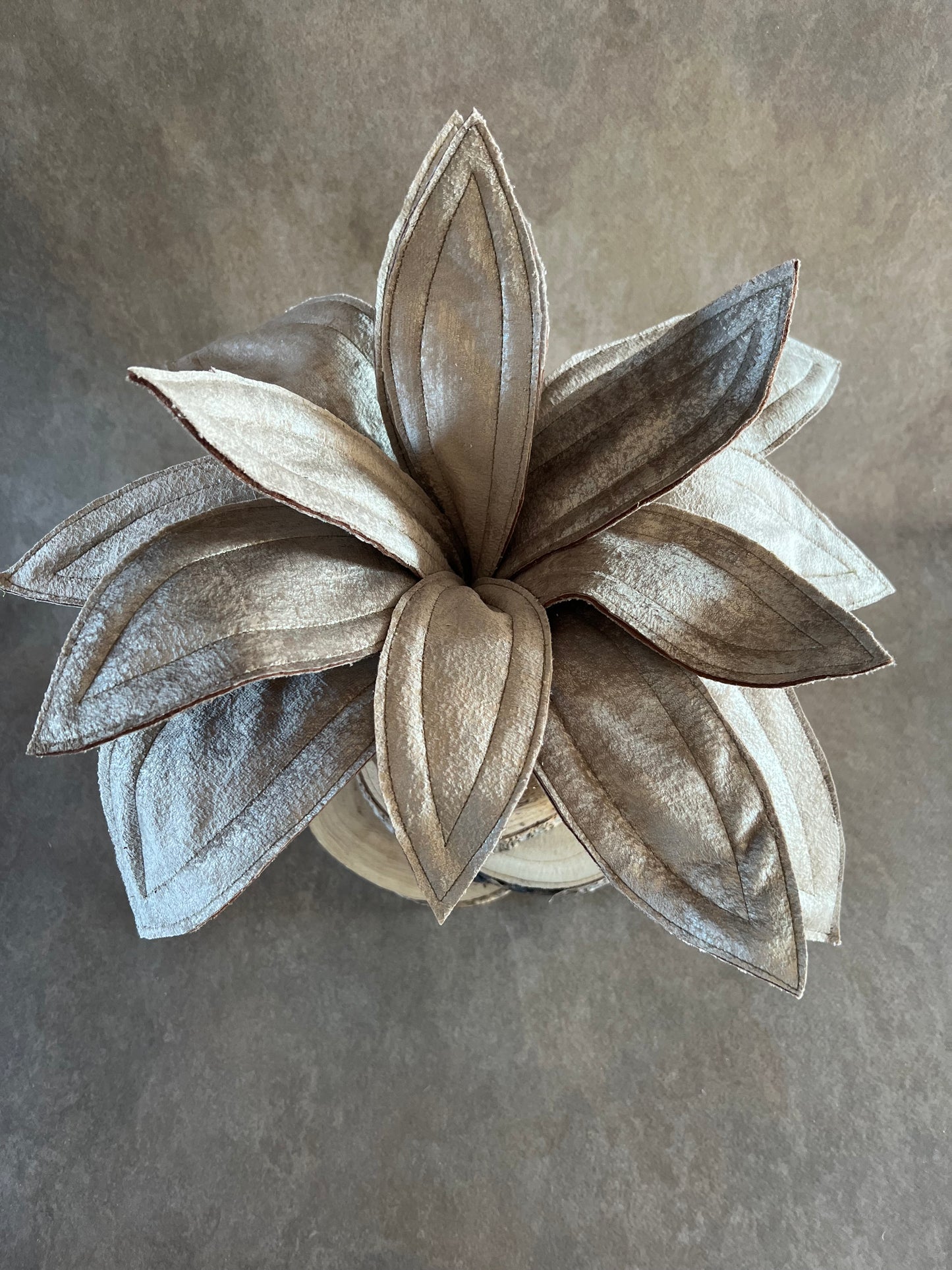 Agave