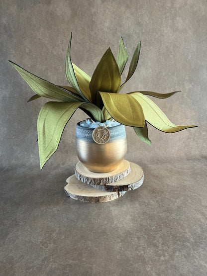 Agave